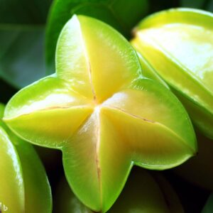 Star Fruit: A Tropical Delight